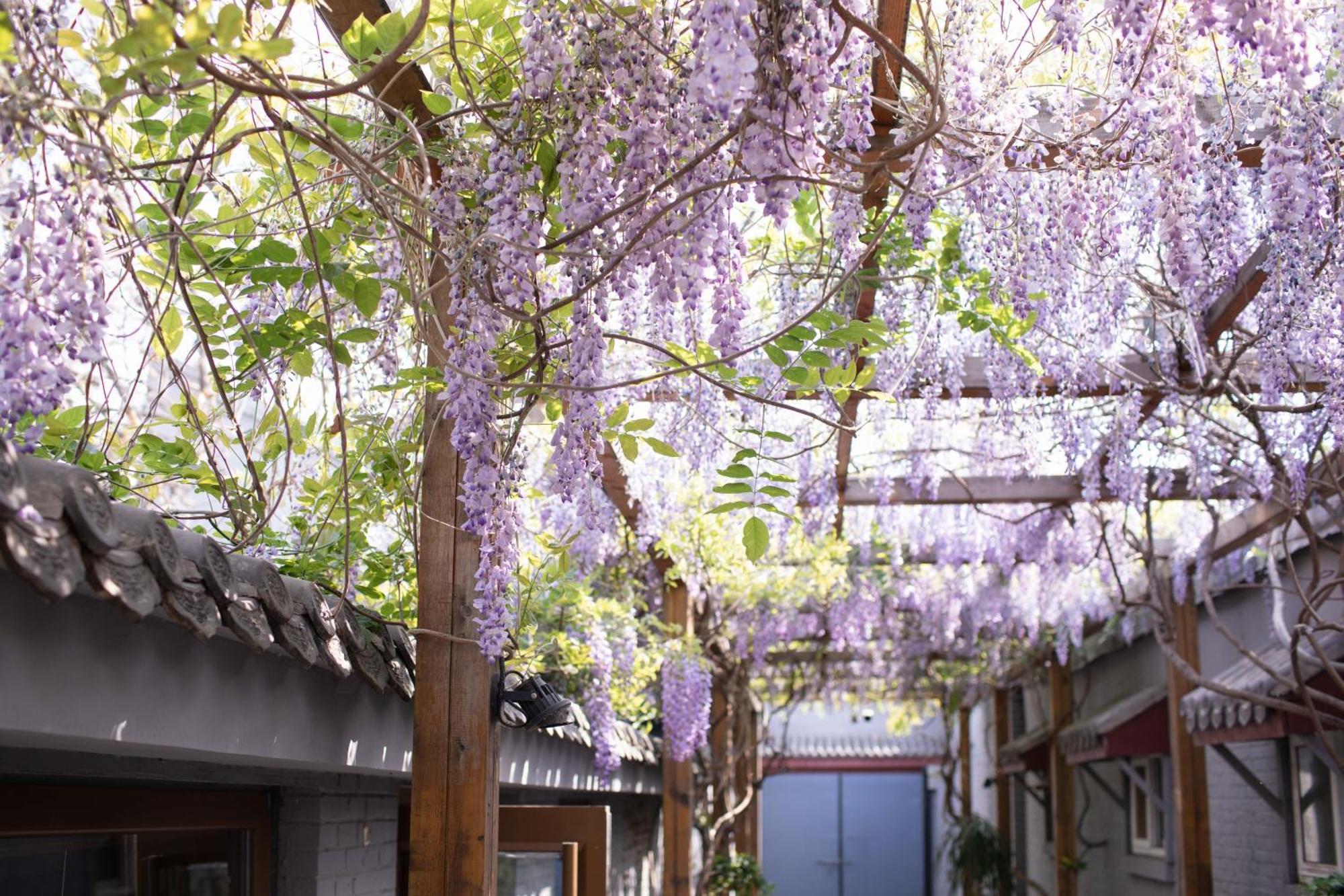 Guipu Beihai Courtyard Hotel Pekin Zewnętrze zdjęcie